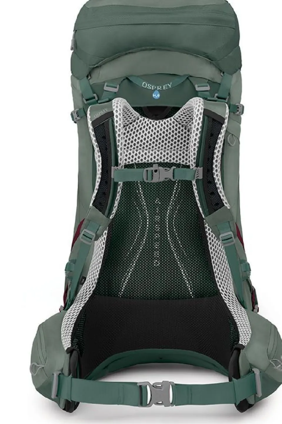 Aura Ag Lt 50