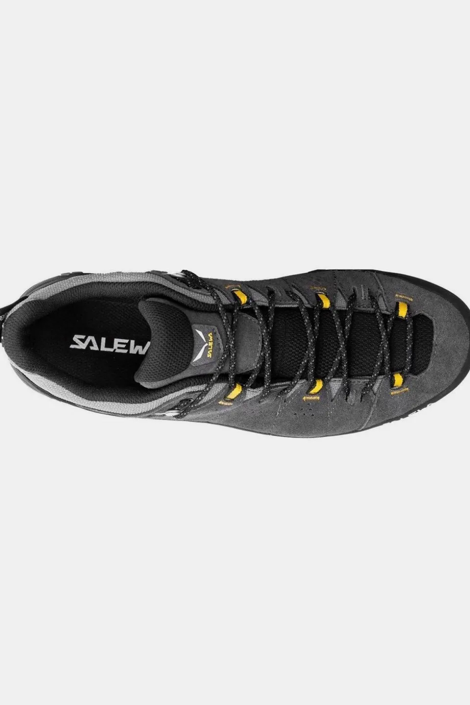 Chaussure Alp Trainer 2 Gore-Tex