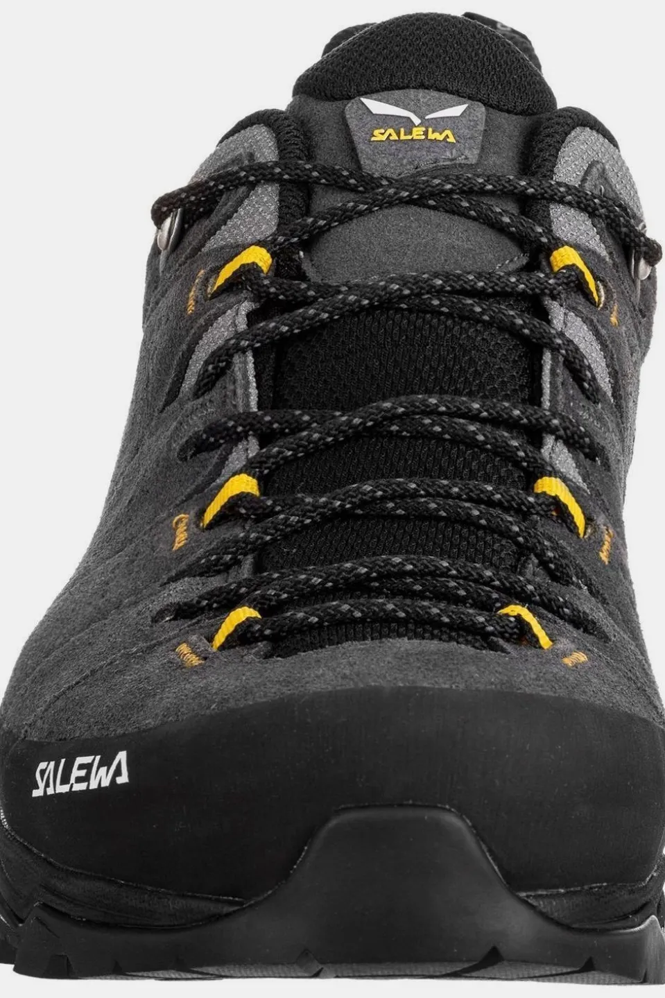 Chaussure Alp Trainer 2 Gore-Tex