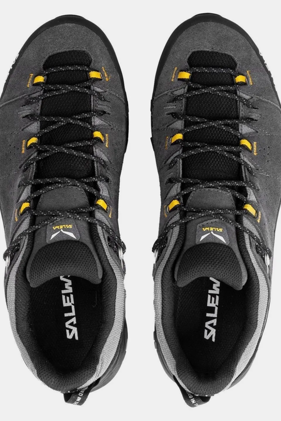Chaussure Alp Trainer 2 Gore-Tex