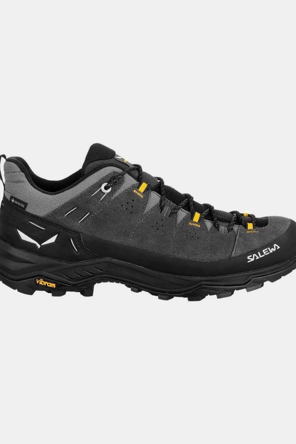Chaussure Alp Trainer 2 Gore-Tex