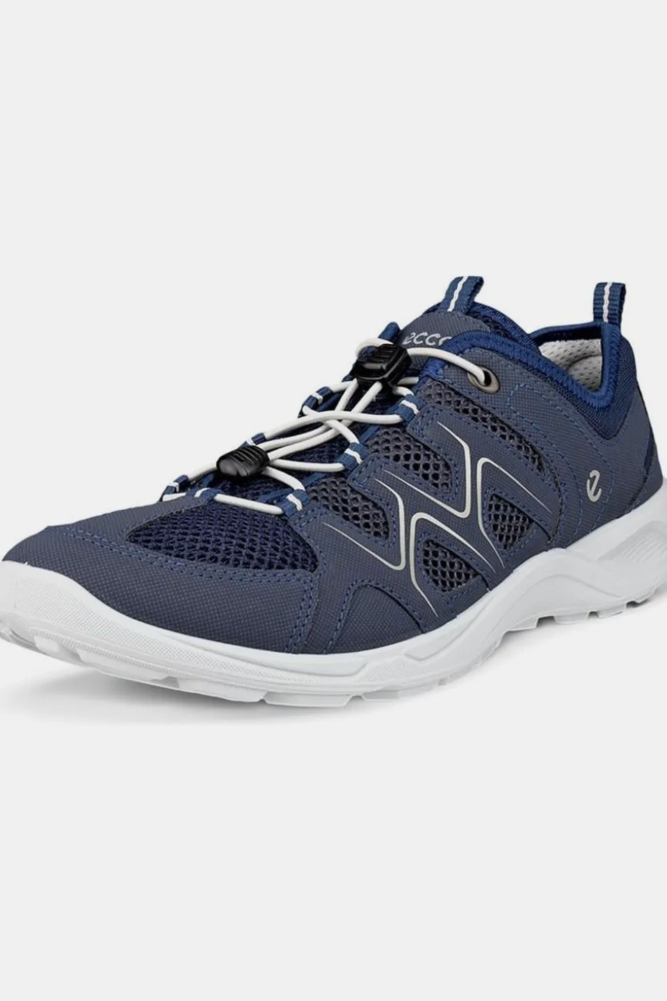 Chaussure Terracruise Lite