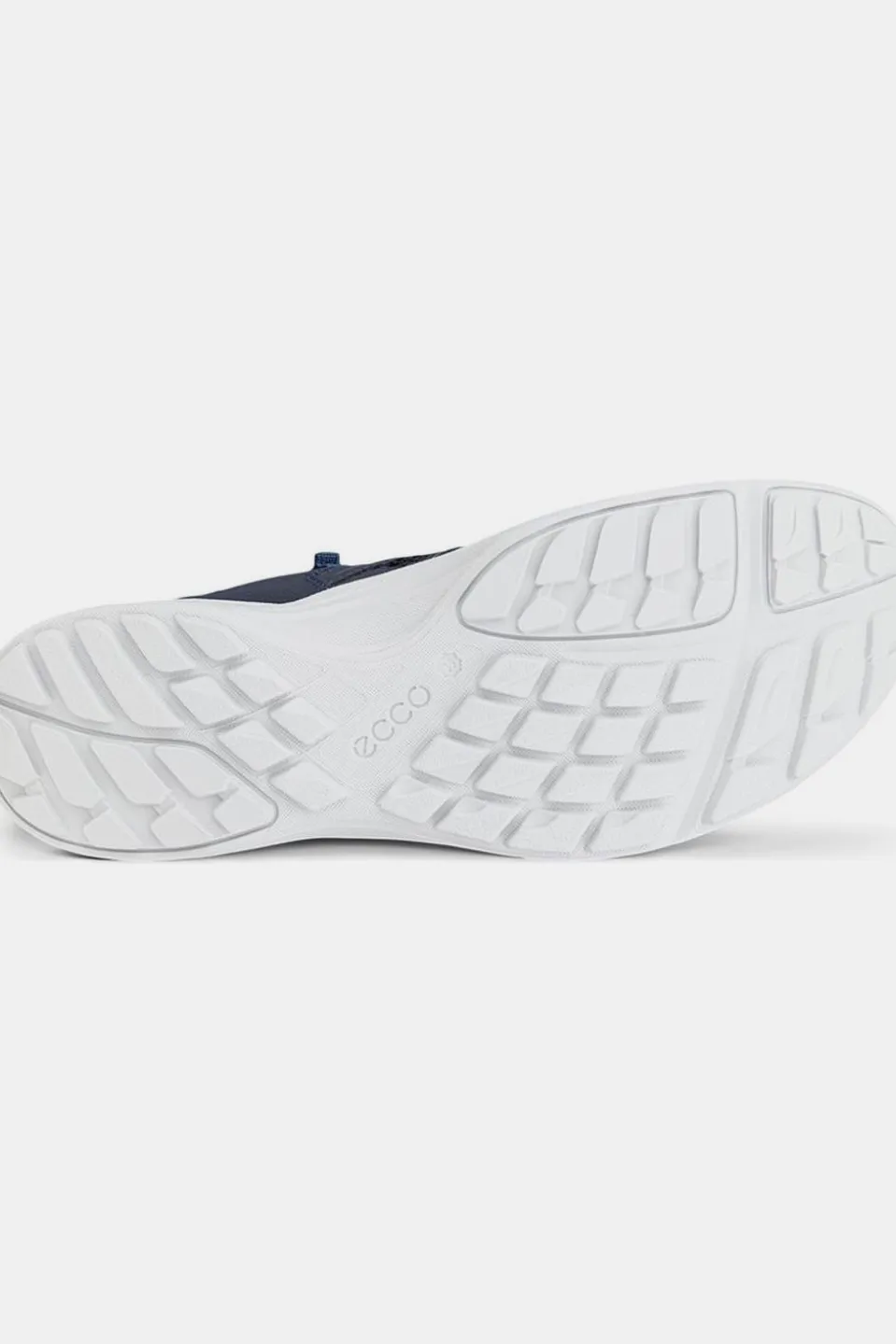 Chaussure Terracruise Lite