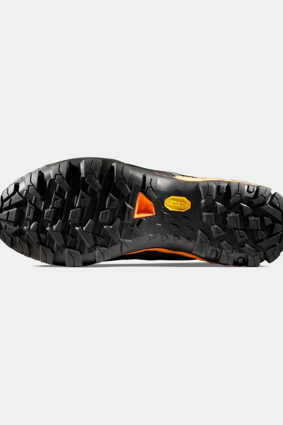 Chaussures De Randonnée Ducan II Low Gtx Men