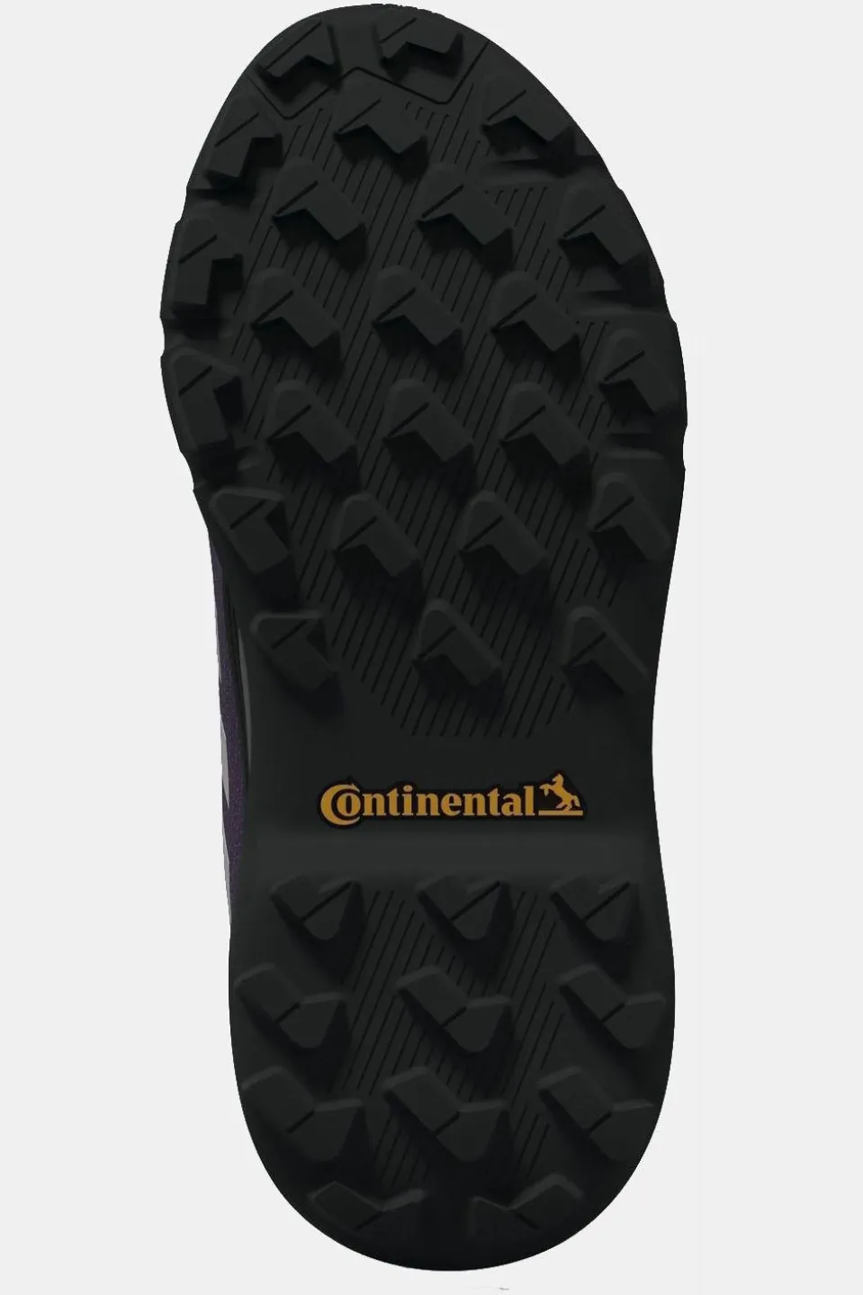 Chaussures De Randonnée Terrex Winter Mid Boa R.Rdy K