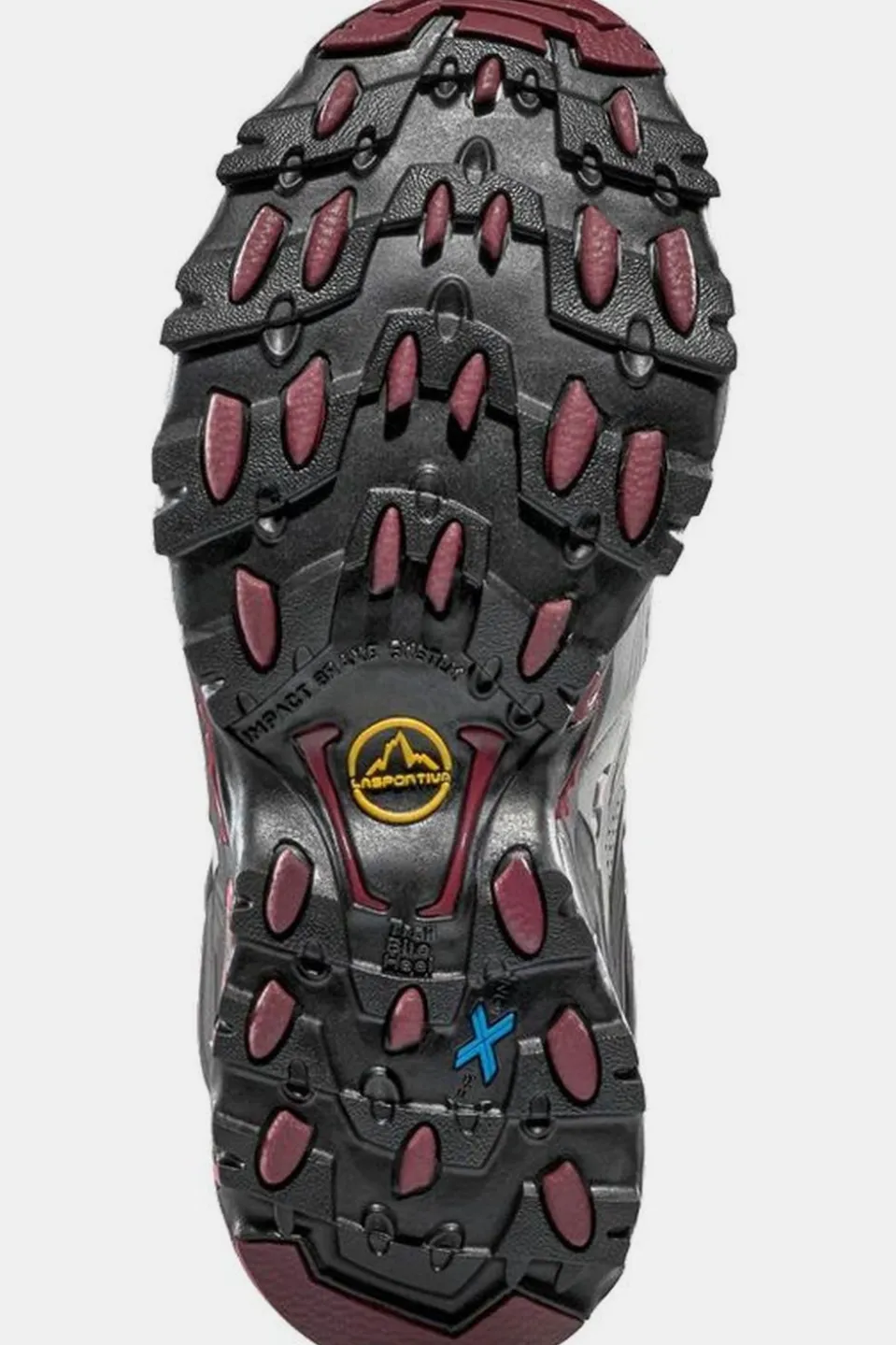 Chaussures De Randonnée Ultra Raptor II Mid Leather Woman Gtx