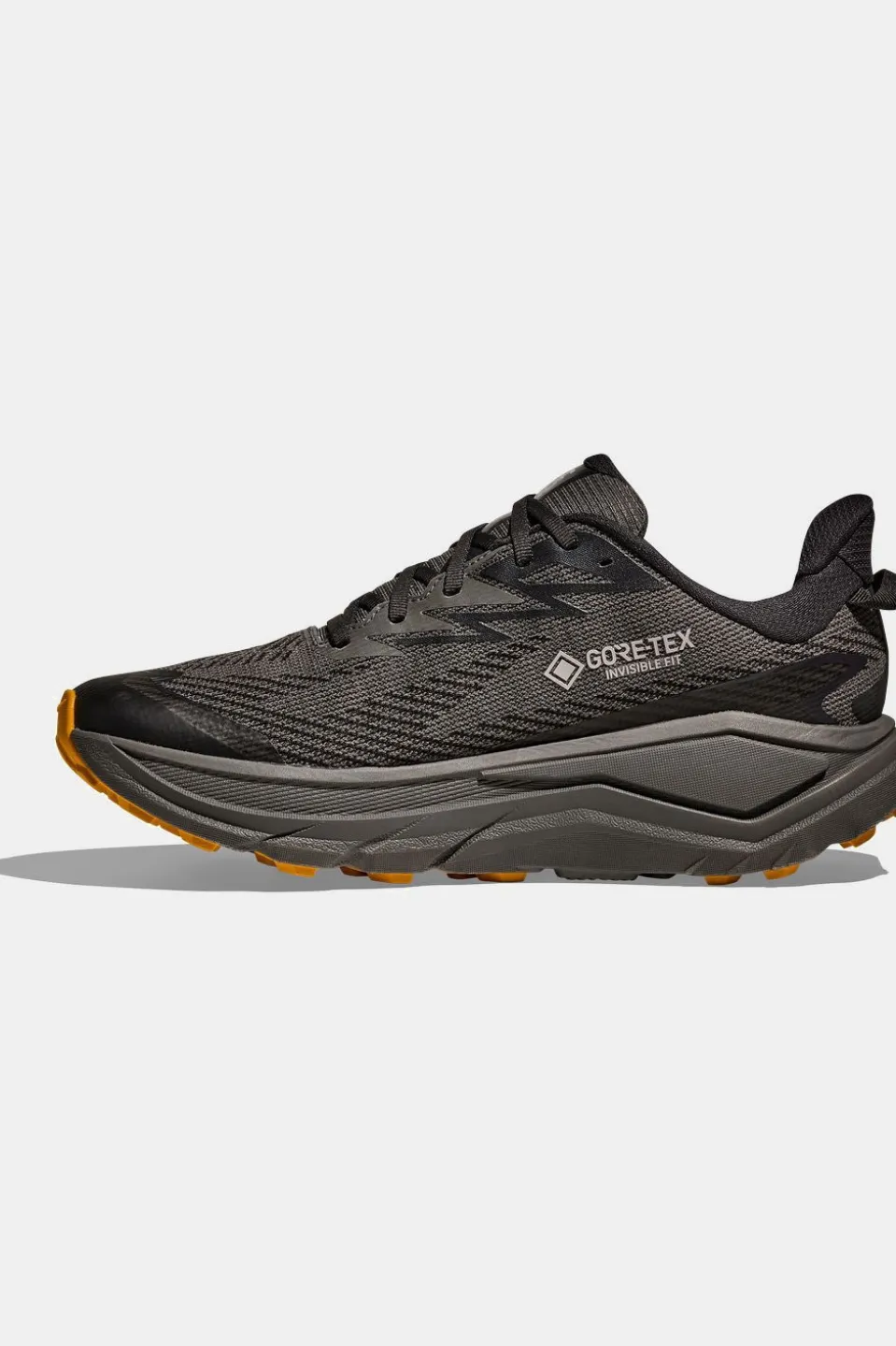 Chaussures De Trail M Challenger 8 Gtx