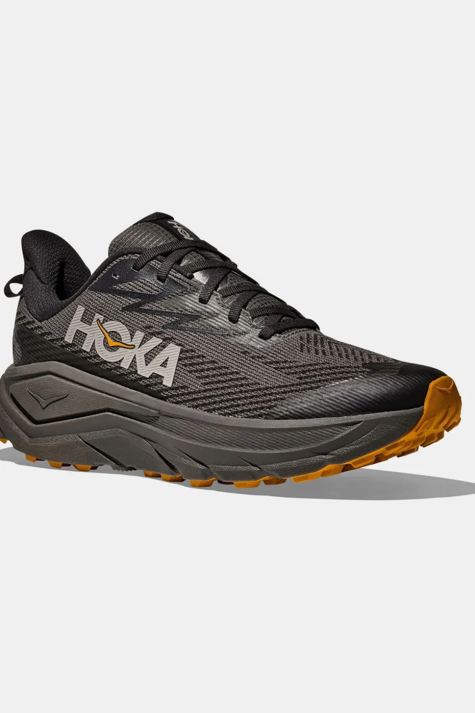 Chaussures De Trail M Challenger 8 Gtx