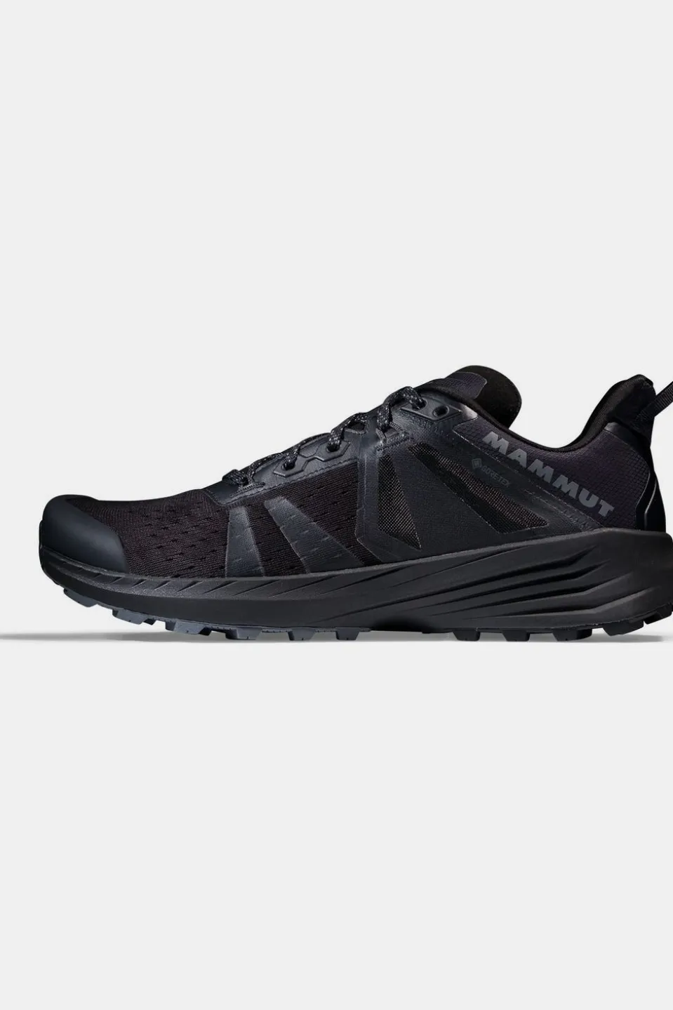 Chaussures De Trail Saentis Tr Low Gtx Men