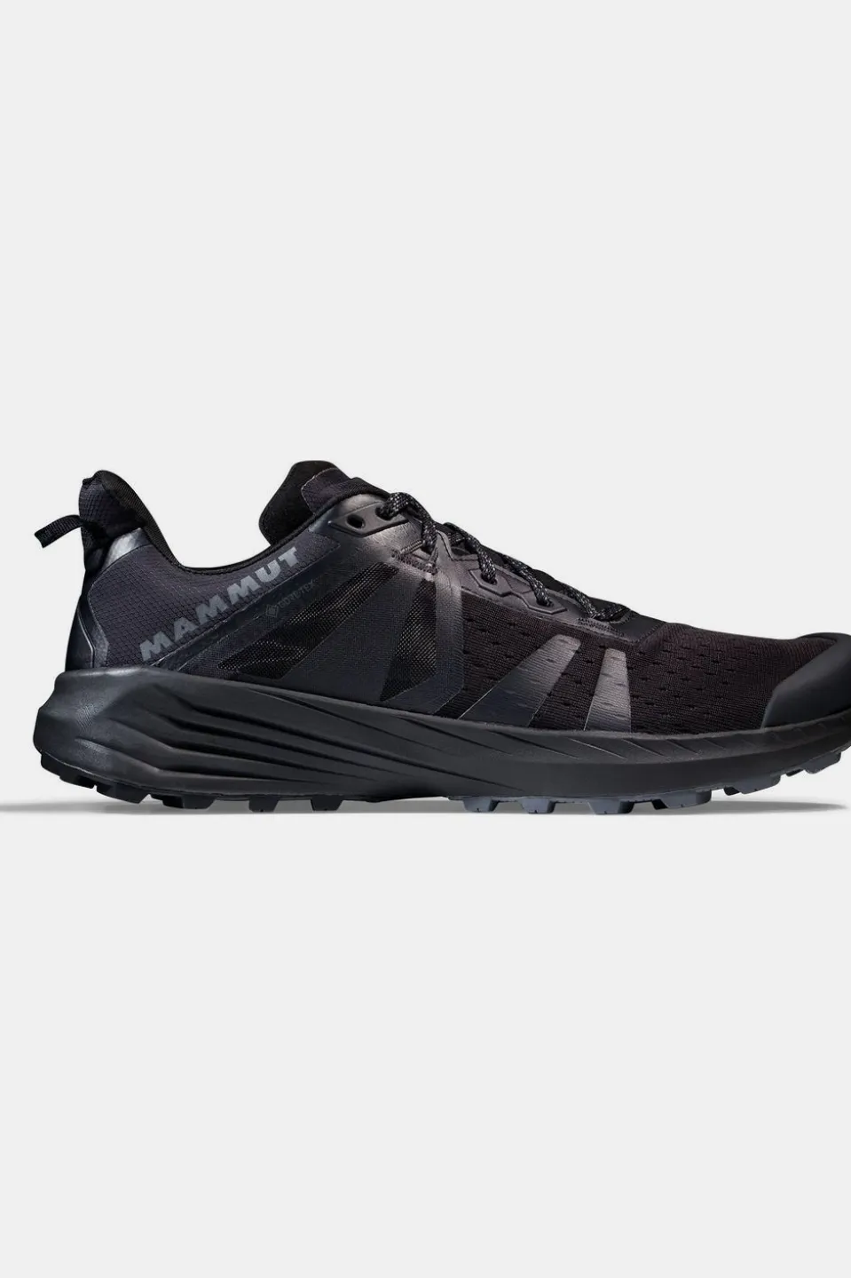 Chaussures De Trail Saentis Tr Low Gtx Men