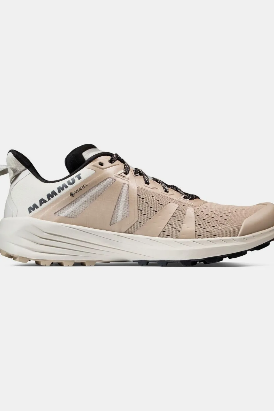 Chaussures De Trail Saentis Tr Low Gtx Men
