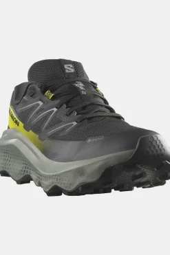 Chaussures De Trail Ultra Flow 2 Gtx