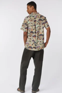 Chemise Festaruski Ss Shirt