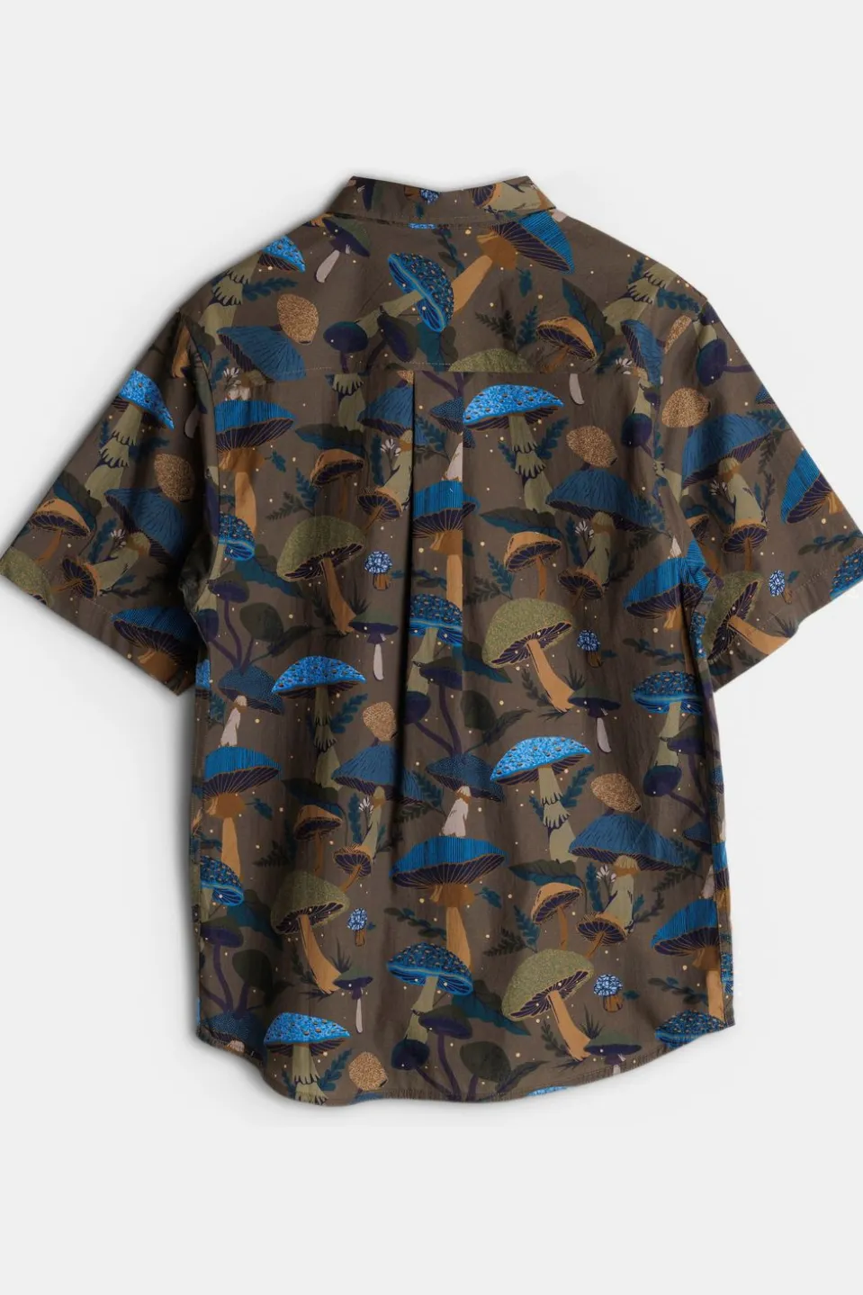 Chemise Festaruski Ss Shirt