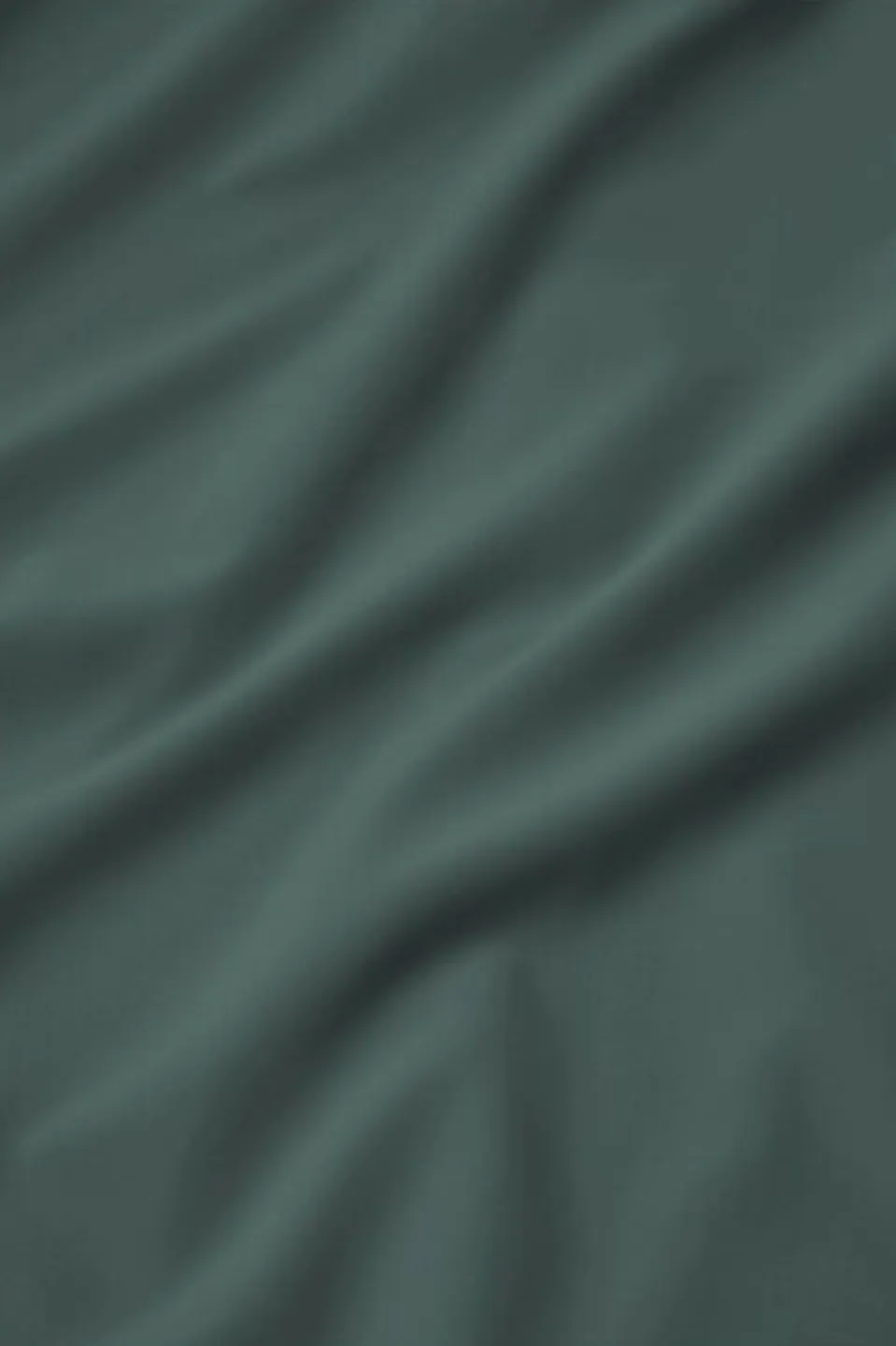 Chemise Sierra Quest Ss Shirt W