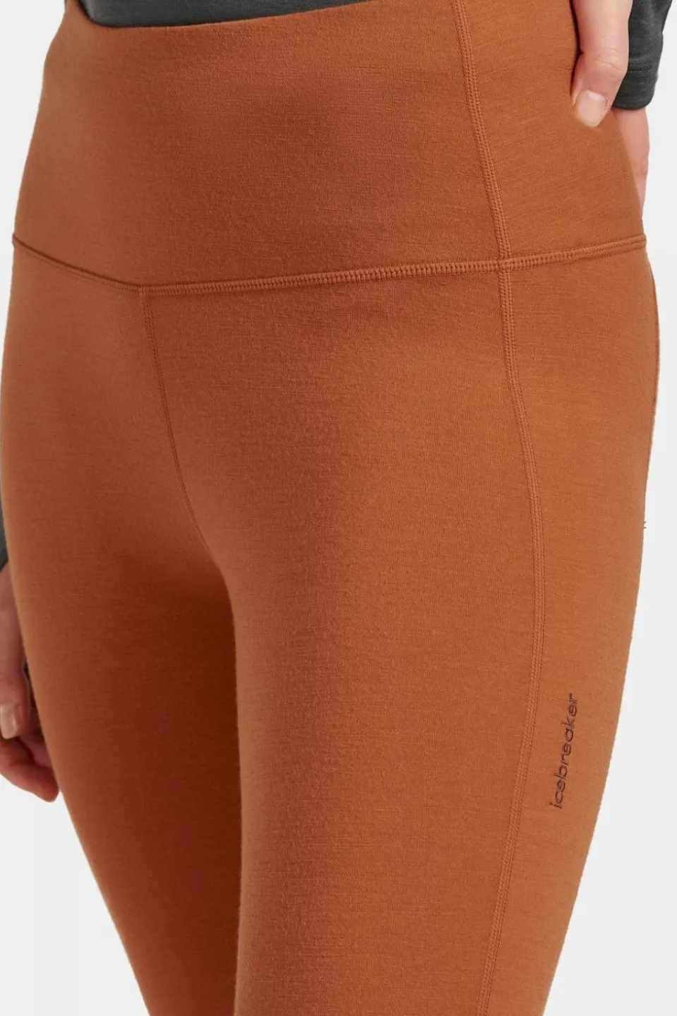 Collant De Sport Women'S Merino 260 Fastray II 25" High Rise Tights