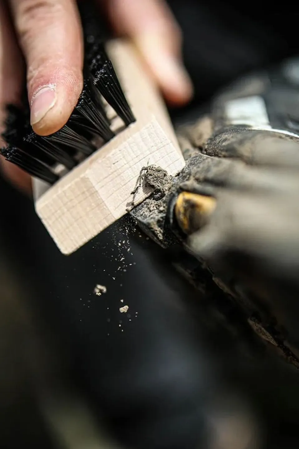 Entretien Des Chaussures Footwear Brush