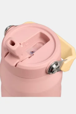 Gourde Iceflow Bottle Flip Straw 2.0 0.7L