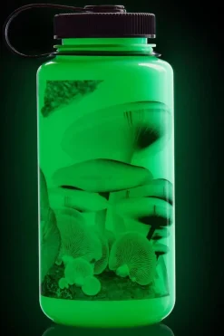 Gourde Wide-Mouth Sustain 1L