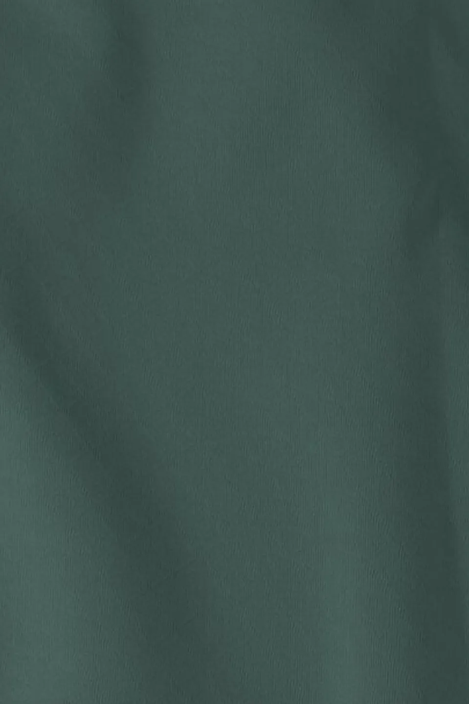 Pull Astrotrail Hoody W