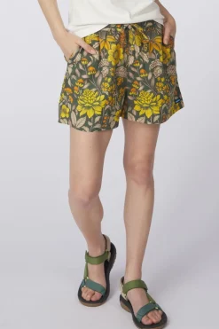Short Nosara
