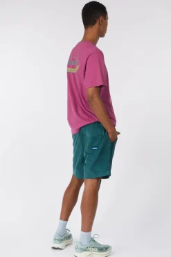 Short Take Ten Corduroy Shorts
