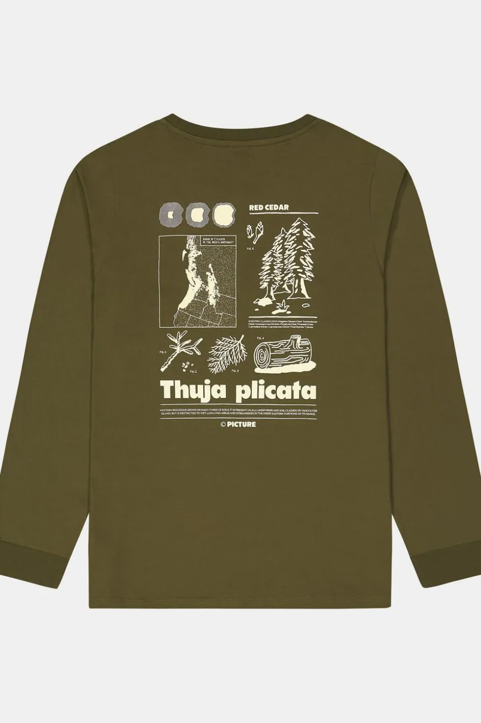T-Shirt Pembroke Ls Tee