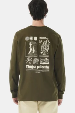 T-Shirt Pembroke Ls Tee