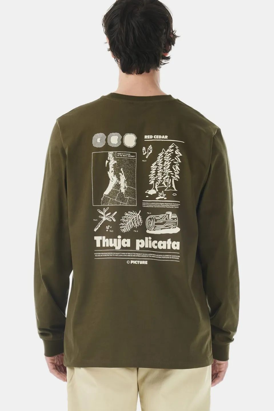 T-Shirt Pembroke Ls Tee
